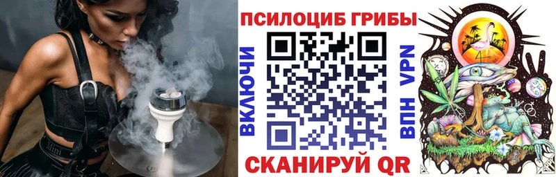 Галлюциногенные грибы прущие грибы  Гаврилов-Ям 
